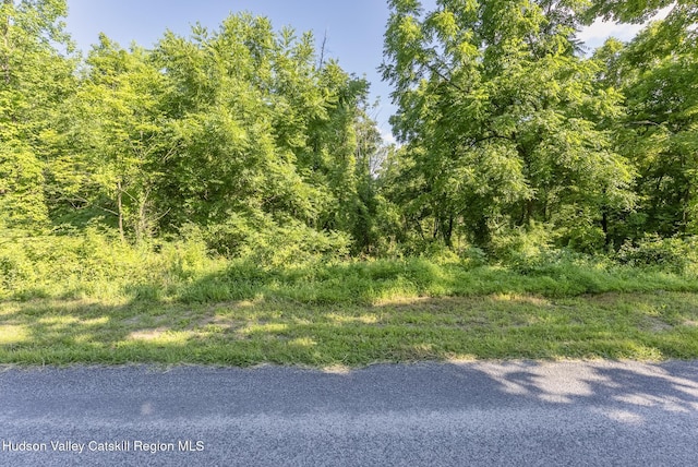 TBD Cooper St, Stone Ridge, NY 12484 - photo 5