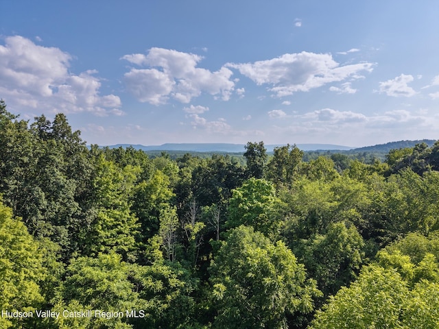 TBD Cooper St, Stone Ridge, NY 12484 - photo 24