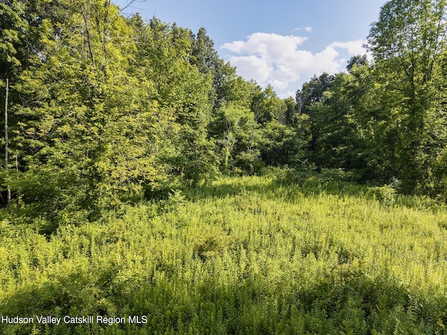 TBD Cooper St, Stone Ridge, NY 12484 - photo 13