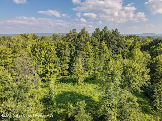TBD Cooper St, Stone Ridge, NY 12484 - photo 26