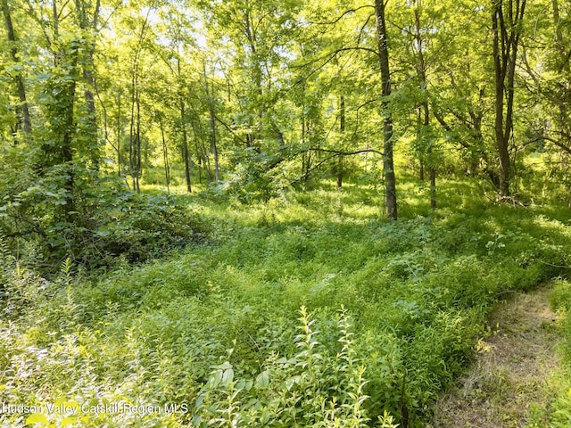 TBD Cooper St, Stone Ridge, NY 12484 - photo 12