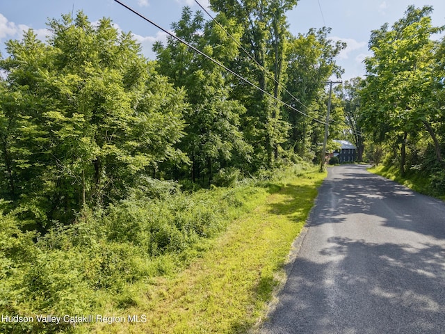 TBD Cooper St, Stone Ridge, NY 12484 - photo 4