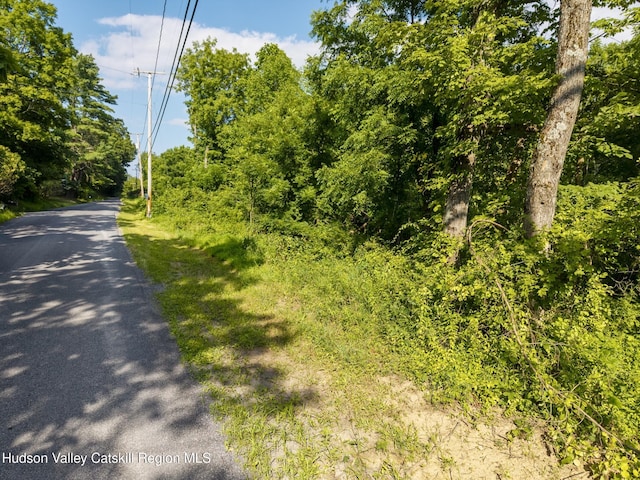 TBD Cooper St, Stone Ridge, NY 12484 - photo 22