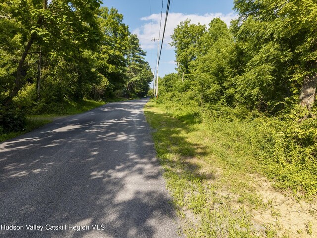 TBD Cooper St, Stone Ridge, NY 12484 - photo 21