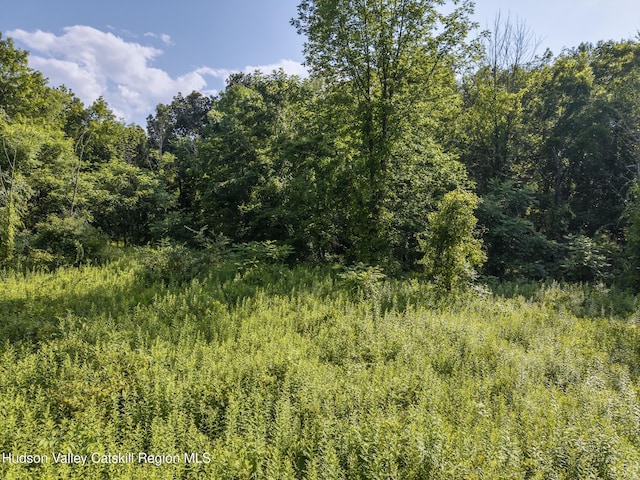 TBD Cooper St, Stone Ridge, NY 12484 - photo 14