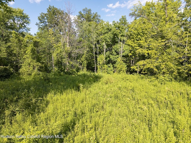TBD Cooper St, Stone Ridge, NY 12484 - photo 17