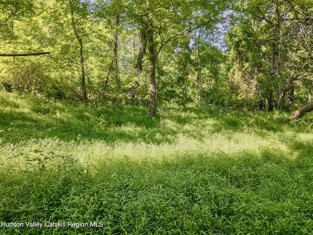 TBD Cooper St, Stone Ridge, NY 12484 - photo 9