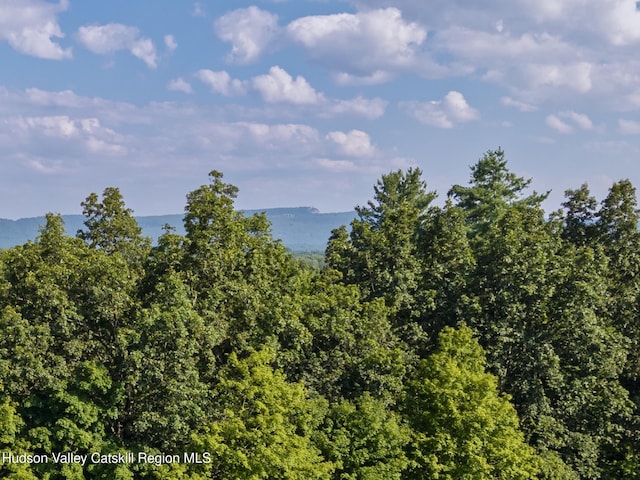 TBD Cooper St, Stone Ridge, NY 12484 - photo 2