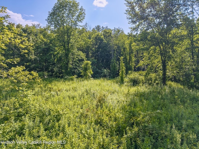 TBD Cooper St, Stone Ridge, NY 12484 - photo 15