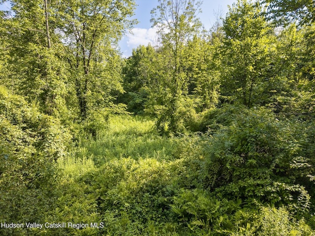 TBD Cooper St, Stone Ridge, NY 12484 - photo 18