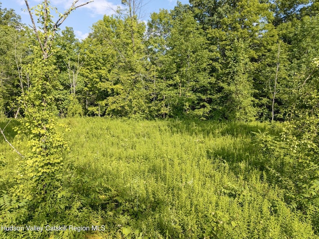 TBD Cooper St, Stone Ridge, NY 12484 - photo 16
