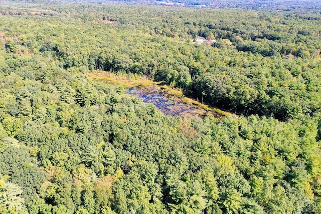 204 Joel M Austin Rd, Cairo, NY 12413 - photo 24