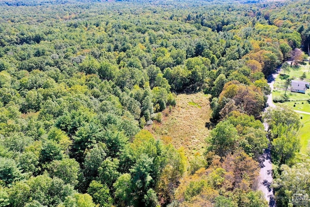 204 Joel M Austin Rd, Cairo, NY 12413 - photo 33