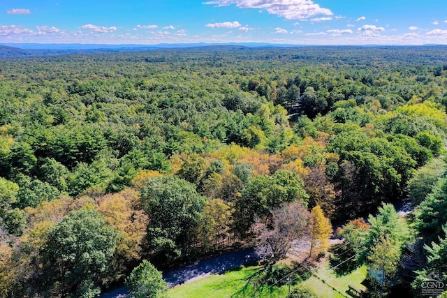 204 Joel M Austin Rd, Cairo, NY 12413 - photo 7