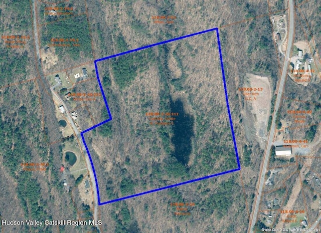 204 Joel M Austin Rd, Cairo, NY 12413 - photo 3