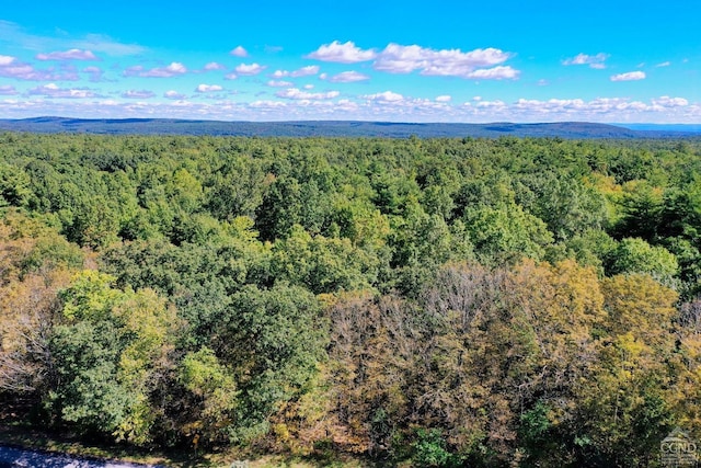204 Joel M Austin Rd, Cairo, NY 12413 - photo 2