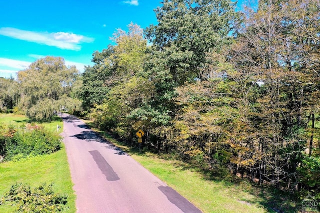204 Joel M Austin Rd, Cairo, NY 12413 - photo 8