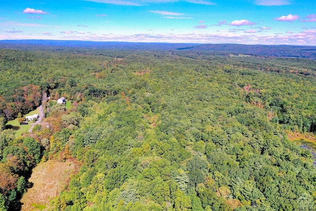 204 Joel M Austin Rd, Cairo, NY 12413 - photo 34