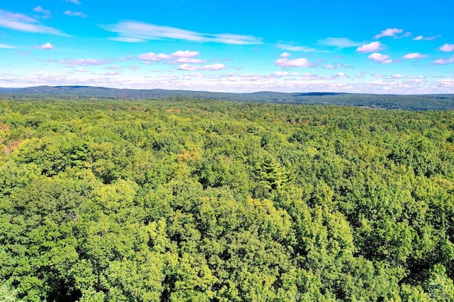 204 Joel M Austin Rd, Cairo, NY 12413 - photo 38