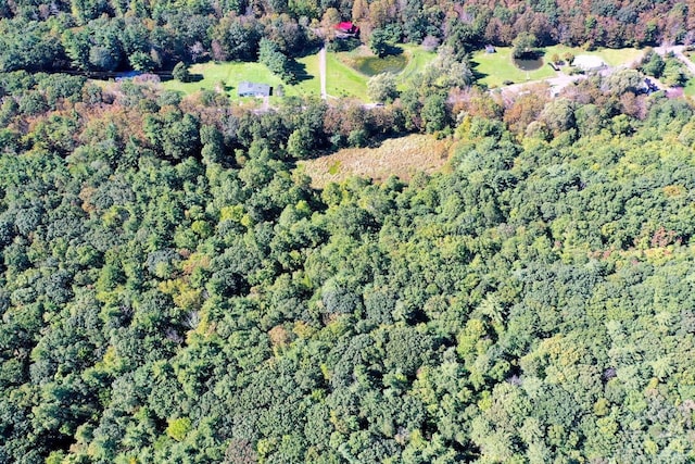 204 Joel M Austin Rd, Cairo, NY 12413 - photo 35