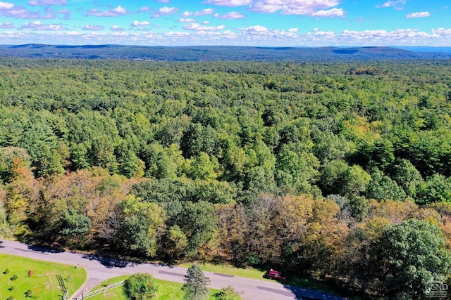204 Joel M Austin Rd, Cairo, NY 12413 - photo 1