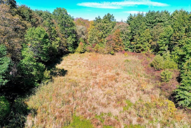 204 Joel M Austin Rd, Cairo, NY 12413 - photo 31