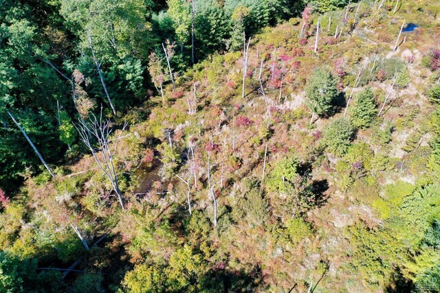 204 Joel M Austin Rd, Cairo, NY 12413 - photo 29