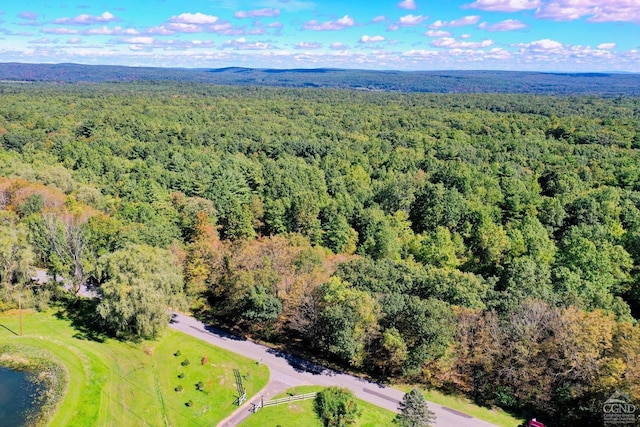 204 Joel M Austin Rd, Cairo, NY 12413 - photo 6