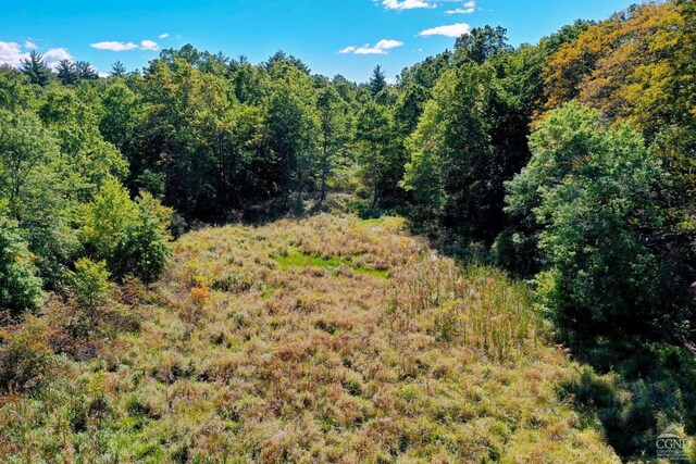 204 Joel M Austin Rd, Cairo, NY 12413 - photo 32