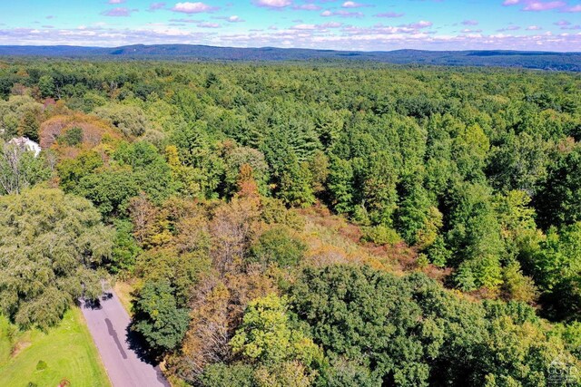 204 Joel M Austin Rd, Cairo, NY 12413 - photo 10