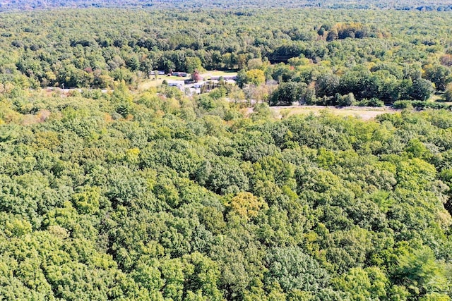 204 Joel M Austin Rd, Cairo, NY 12413 - photo 40