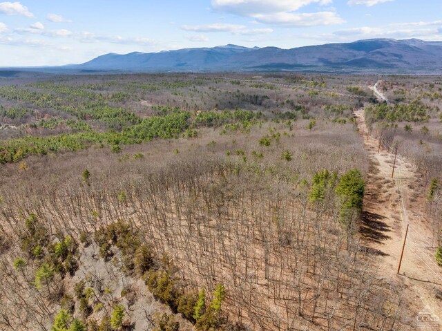 0 Cauterskill Rd, Catskill, NY 12414