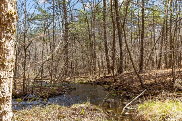0 Cauterskill Rd, Catskill, NY 12414
