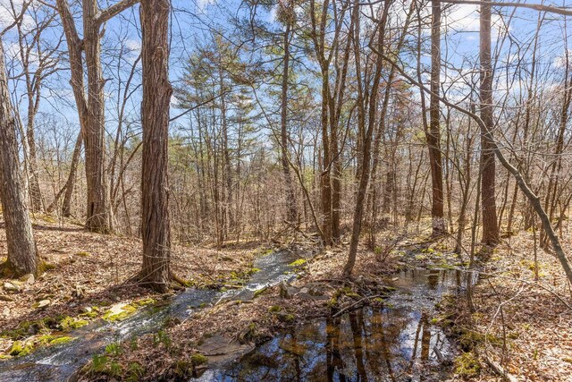 0 Cauterskill Rd, Catskill, NY 12414