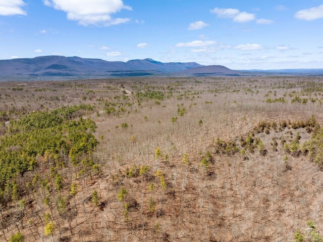 0 Cauterskill Rd, Catskill, NY 12414