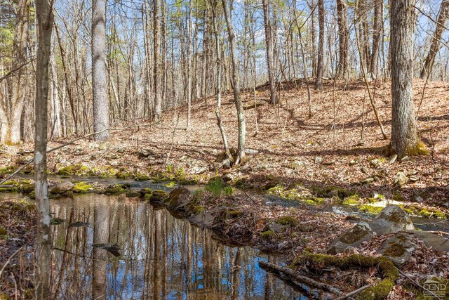 0 Cauterskill Rd, Catskill, NY 12414