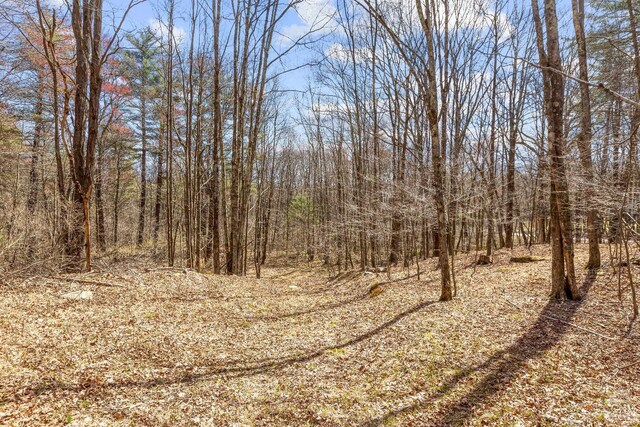 0 Cauterskill Rd, Catskill, NY 12414