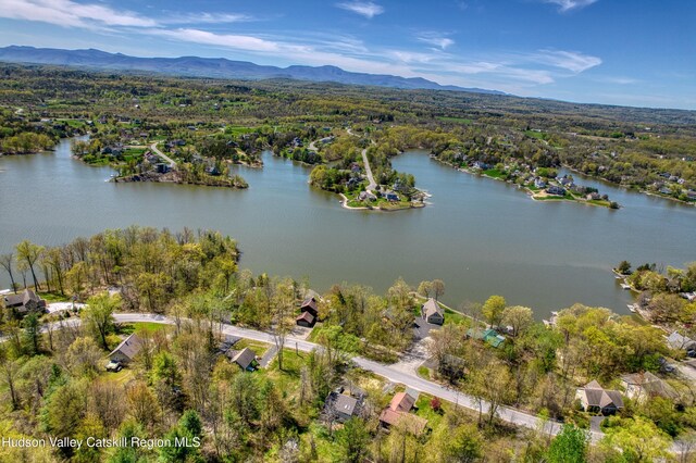 176 Sleepy Hollow Rd, Athens, NY 12015 - photo 24