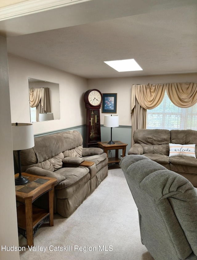 51 Patroon St, Claverack-Red Mills, NY 12513 - living room featuring carpet floors and a skylight