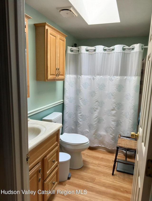 51 Patroon St, Claverack-Red Mills, NY 12513 - bathroom featuring a skylight, wood finished floors, vanity, a shower with shower curtain, and toilet