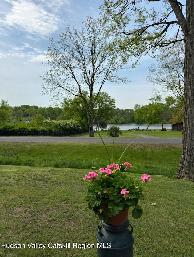 51 Patroon St, Claverack-Red Mills, NY 12513 - view of grassy yard with a water view