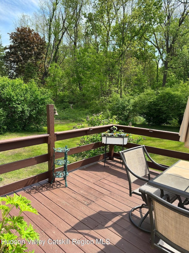 51 Patroon St, Claverack-Red Mills, NY 12513 - view of deck