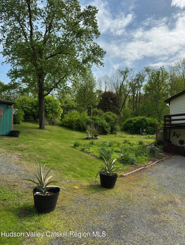 51 Patroon St, Claverack-Red Mills, NY 12513 - view of grassy yard