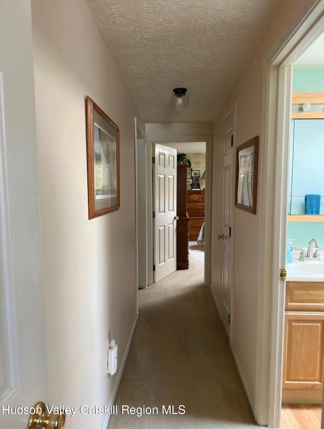 51 Patroon St, Claverack-Red Mills, NY 12513 - hallway featuring light colored carpet, a textured ceiling, and a sink