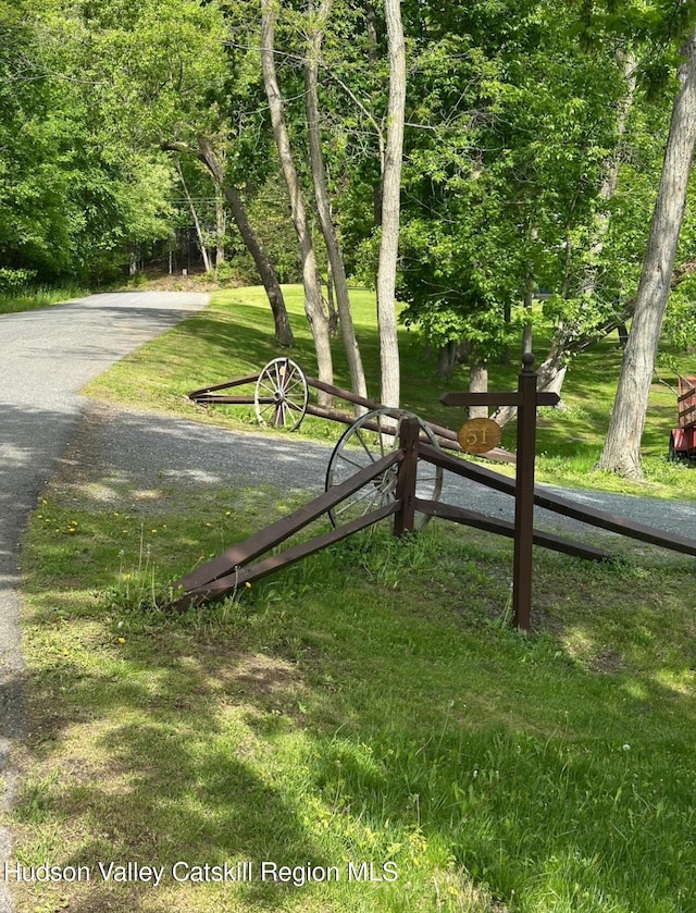 51 Patroon St, Claverack-Red Mills, NY 12513 - view of home's community with a yard