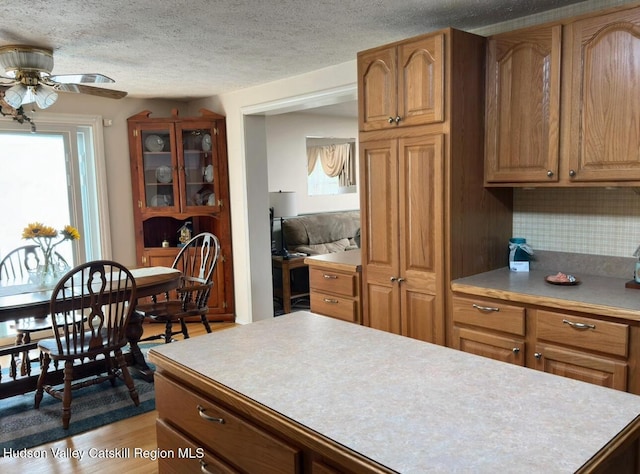 51 Patroon St, Claverack-Red Mills, NY 12513 - kitchen with a ceiling fan, light countertops, plenty of natural light, and a textured ceiling