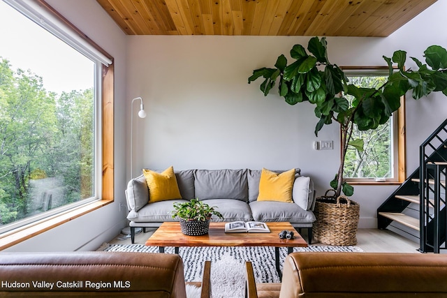 22 Skinner Ln, Catskill, NY 12414 - living area with healthy amount of natural light, wood ceiling, and wood finished floors