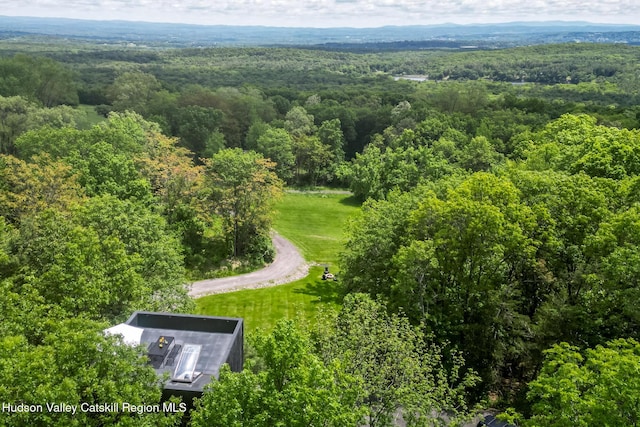 22 Skinner Ln, Catskill, NY 12414 - aerial view of a heavily wooded area