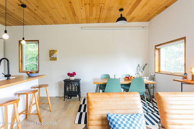 22 Skinner Ln, Catskill, NY 12414 - living area featuring healthy amount of natural light, wood finished floors, a wood stove, and wooden ceiling