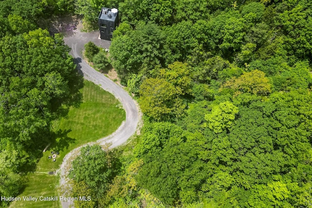 22 Skinner Ln, Catskill, NY 12414 - aerial view